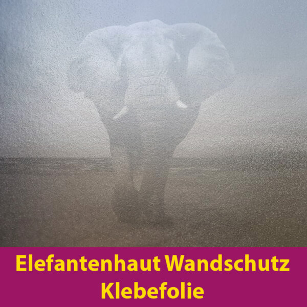 Elefantenhaut-Wandschutz-klebefolie.jpg